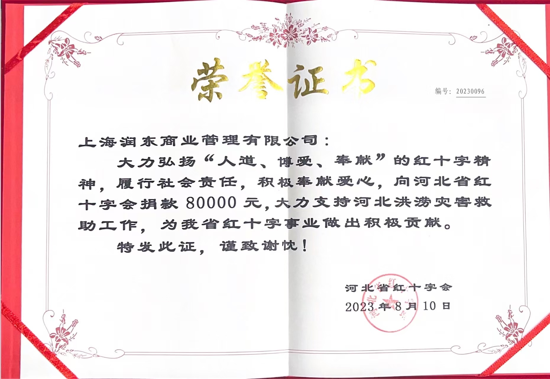 闻汛而动担使命，公益聚力护民生｜驰援河北洪涝救灾
